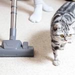 carpet cleaning help allergies