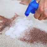 carpet cleaning remove stains