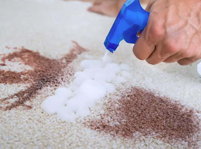 carpet cleaning remove stains
